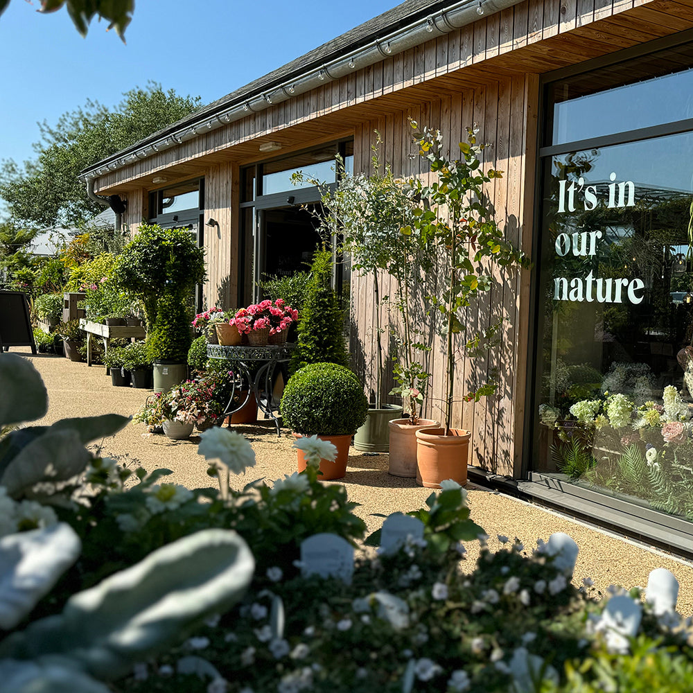Spectacular Pots and Containers with Sarah Raven at Rutland Nursery, Oakham