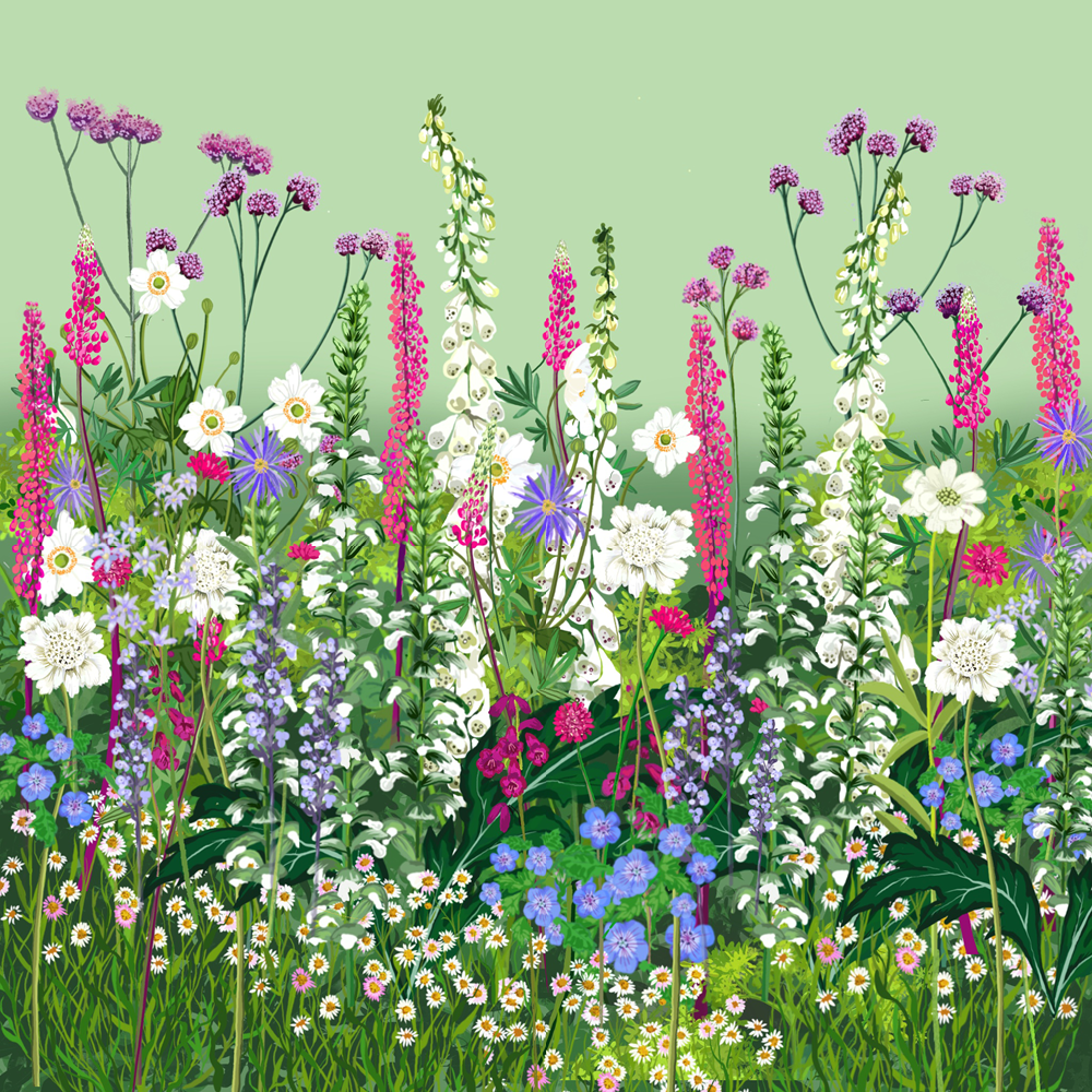 The English Country Garden Border Collection