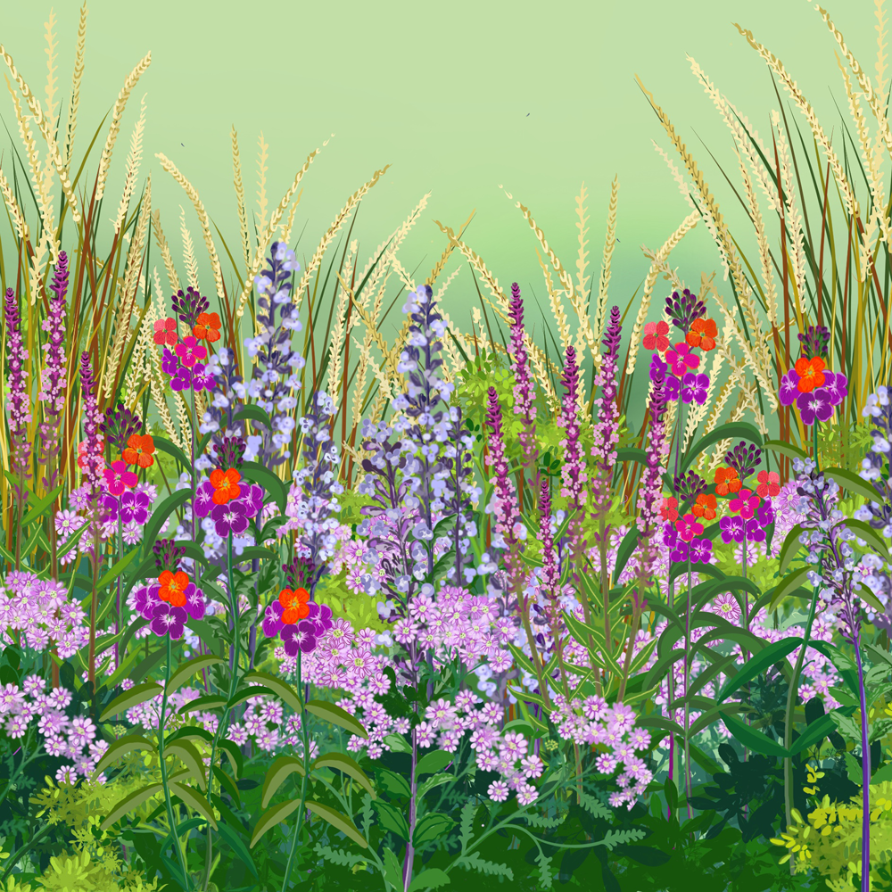 The Low Maintenance Border Collection