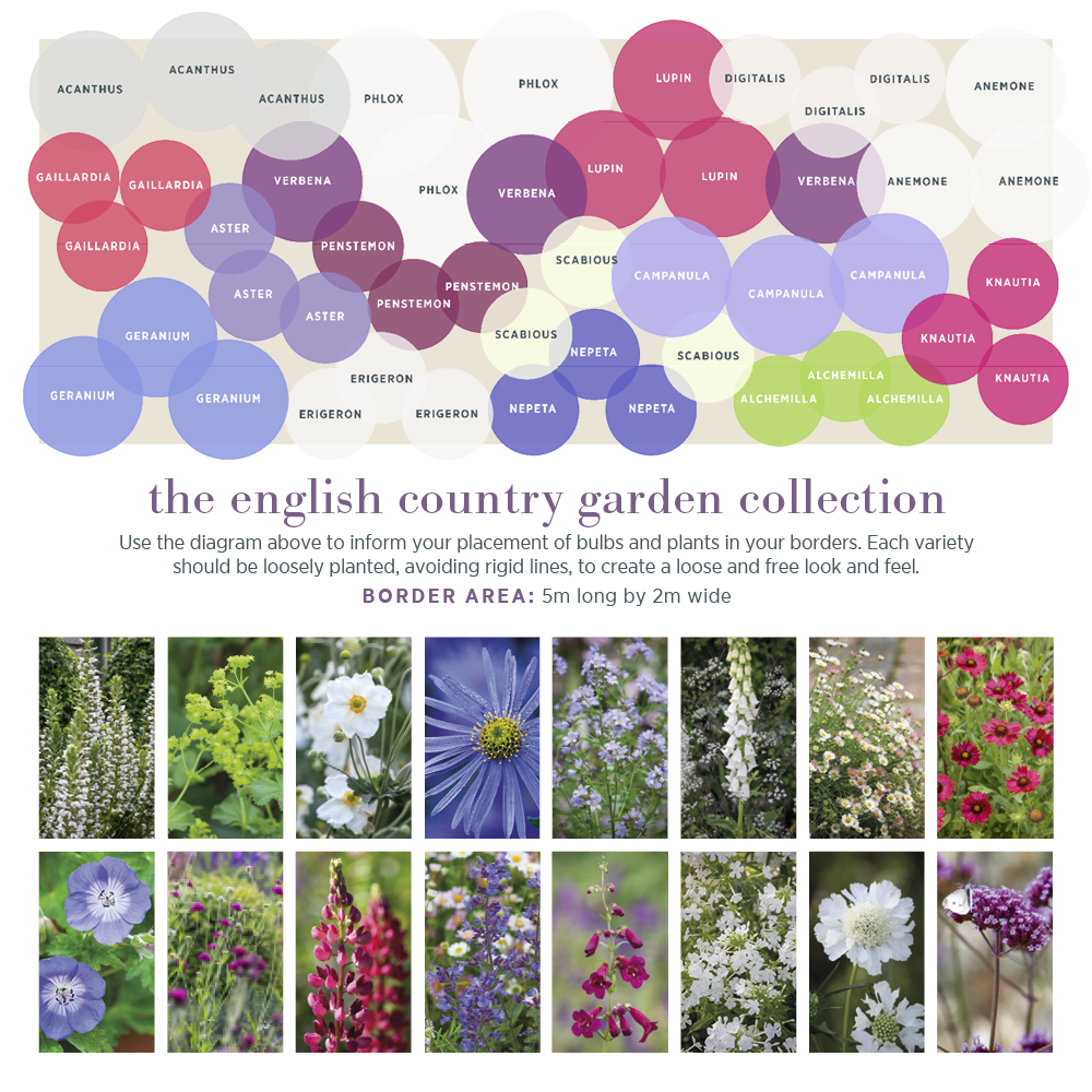 The English Country Garden Border Collection