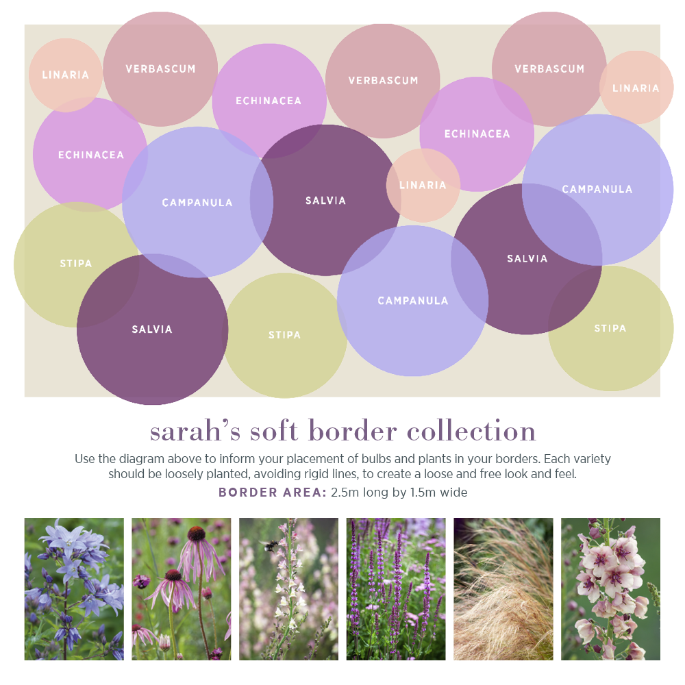 Sarah's Soft Border Collection