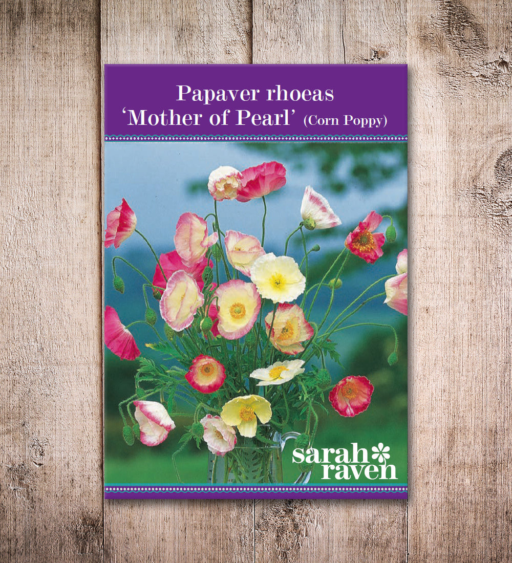 Papaver rhoeas 'Mother of Pearl'