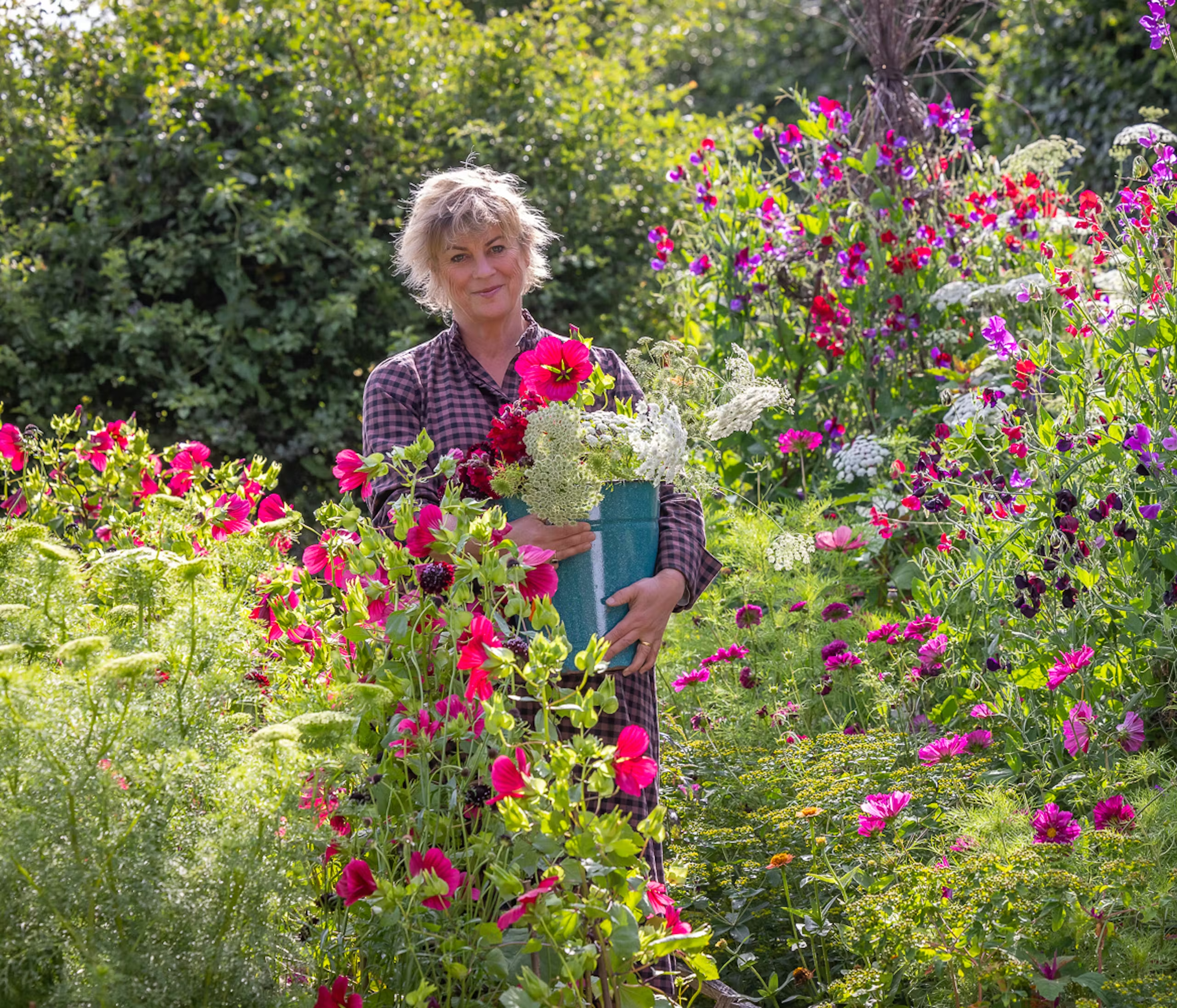 June and July Open Days