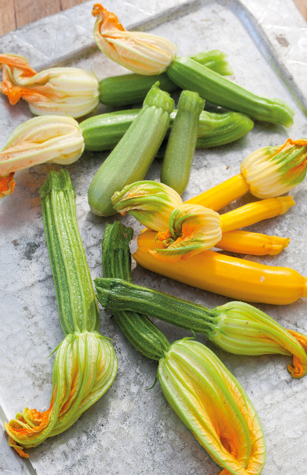 How to plant, grow & care for courgettes