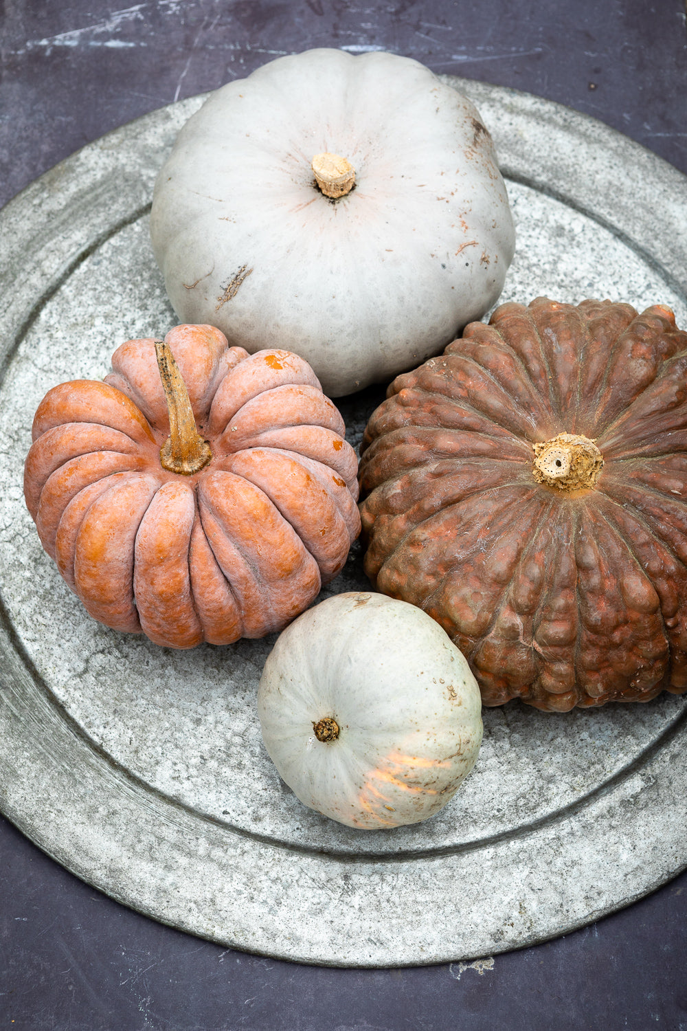 How to plant, grow & care for squash