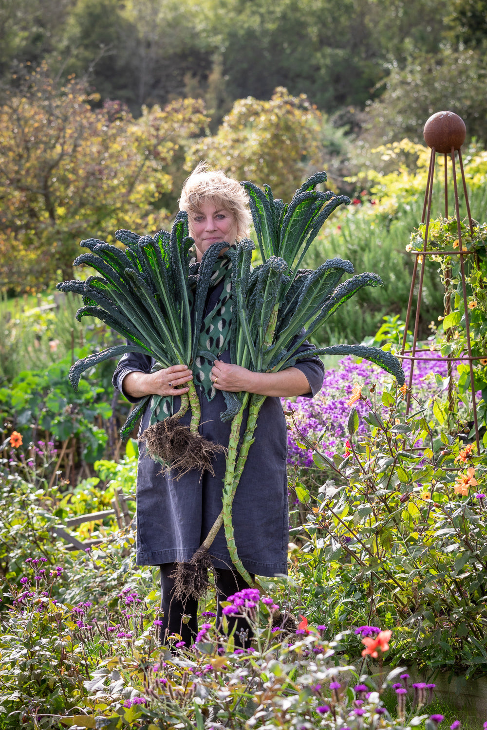 Starting a vegetable garden from scratch
