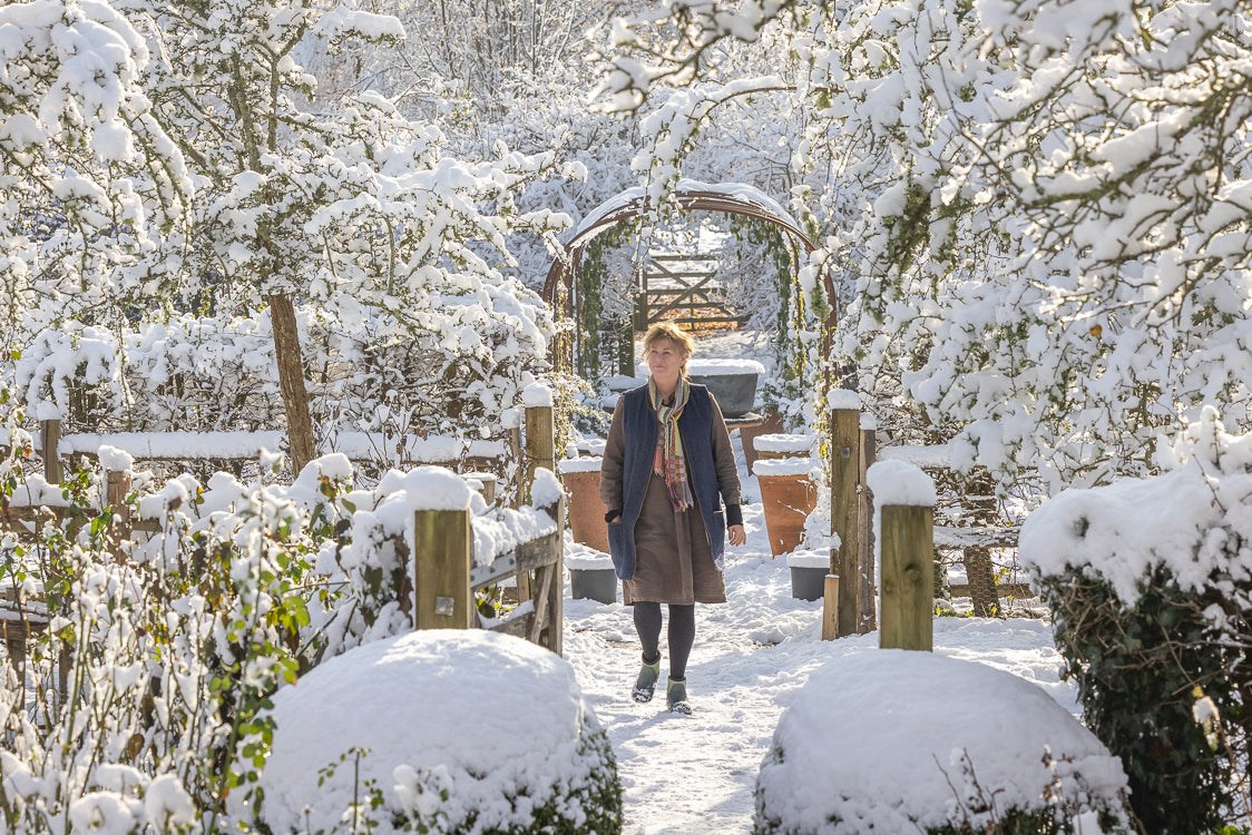 January in the garden
