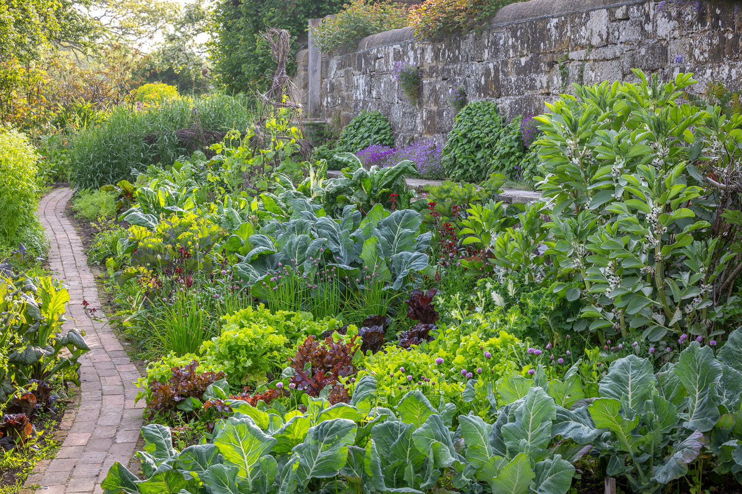 How to layout a vegetable garden