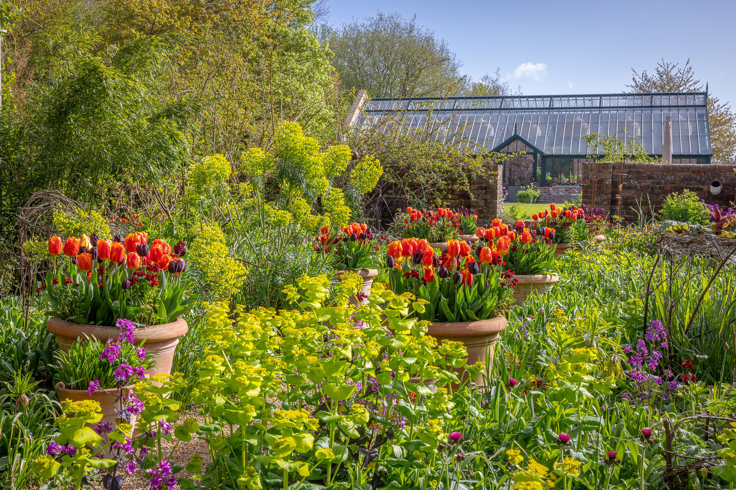 April in the garden