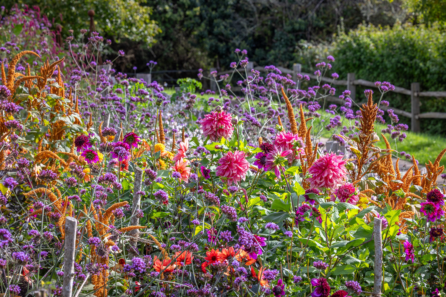 September in the garden