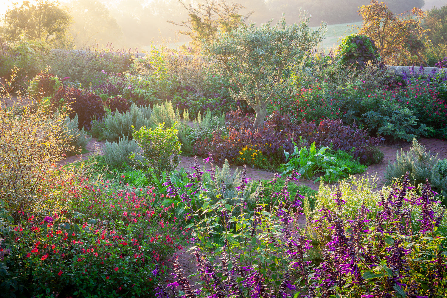 October in the garden