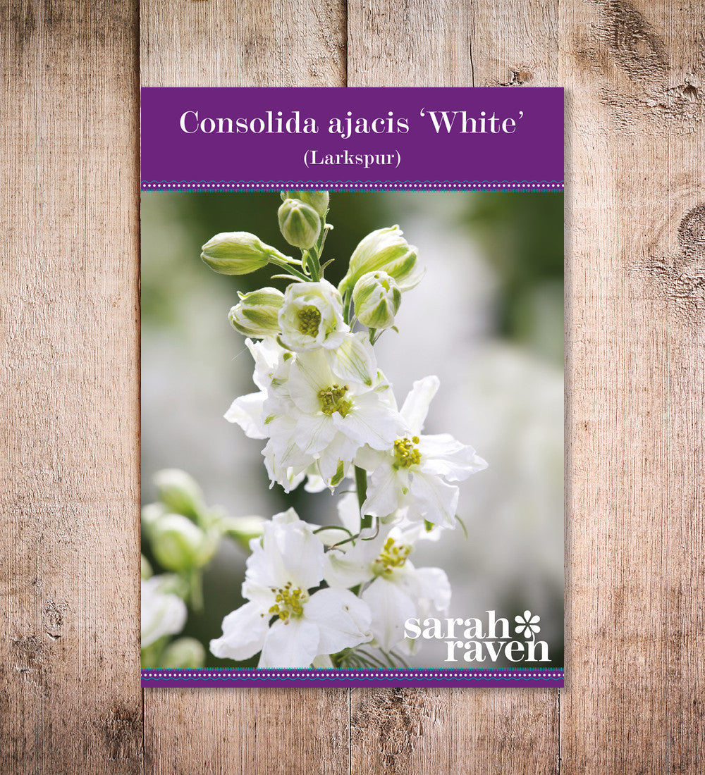 Consolida ajacis 'White'