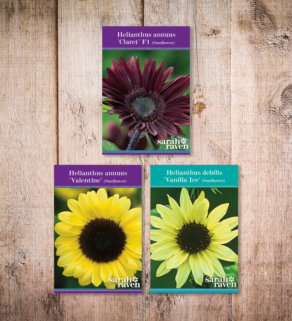 Sunflower Seed Collection