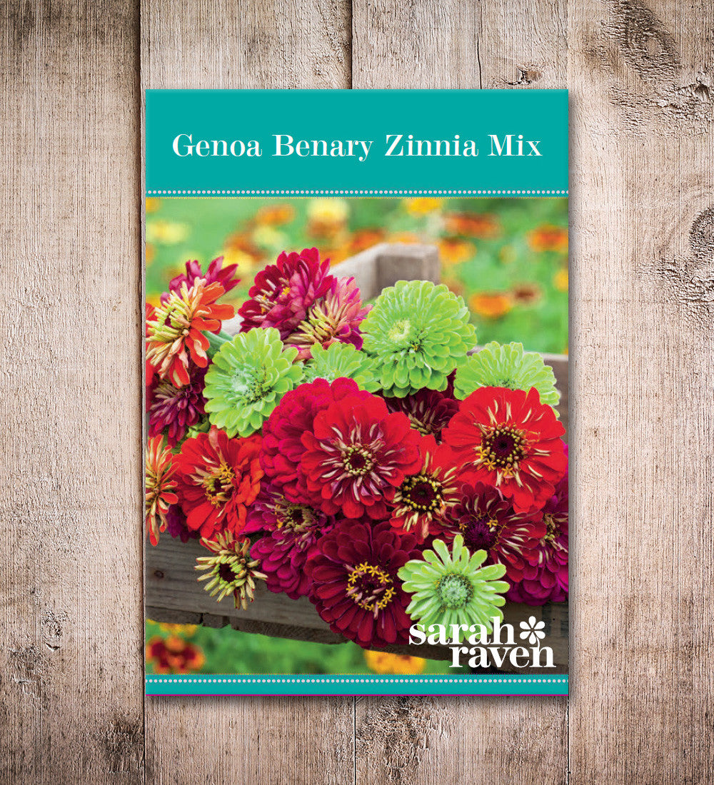 Genoa Zinnia Mix