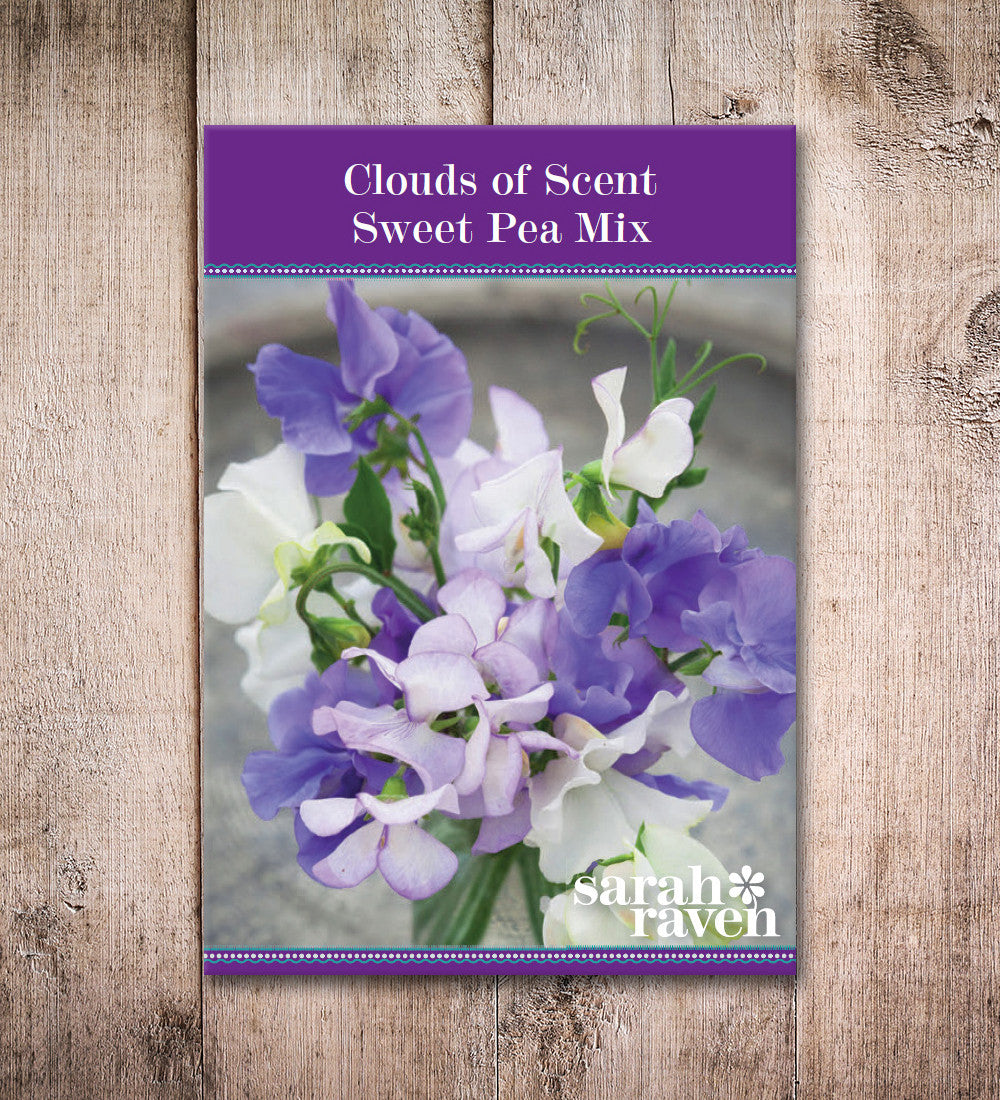 Clouds of Scent Sweet Pea Collection