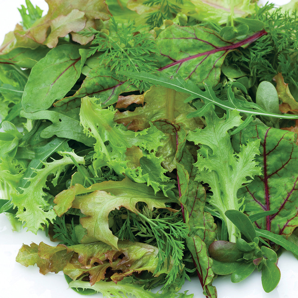 Wild Rocket