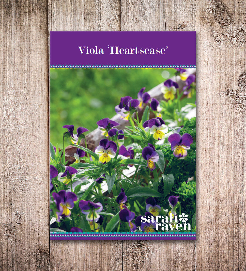 Heart's Ease (Viola tricolor)