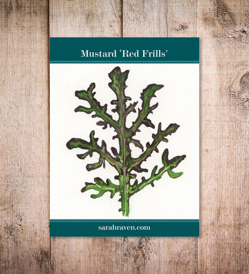Mustard 'Red Frills'