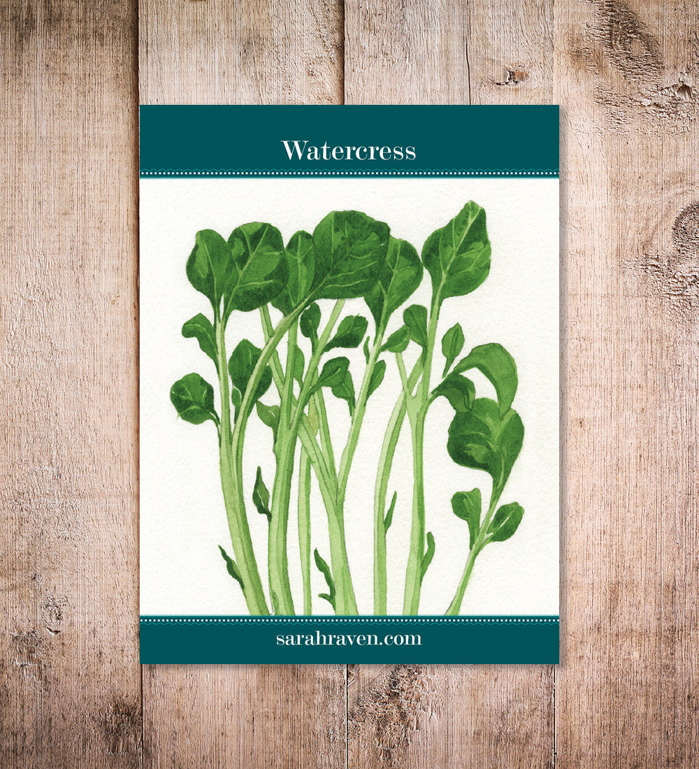Watercress