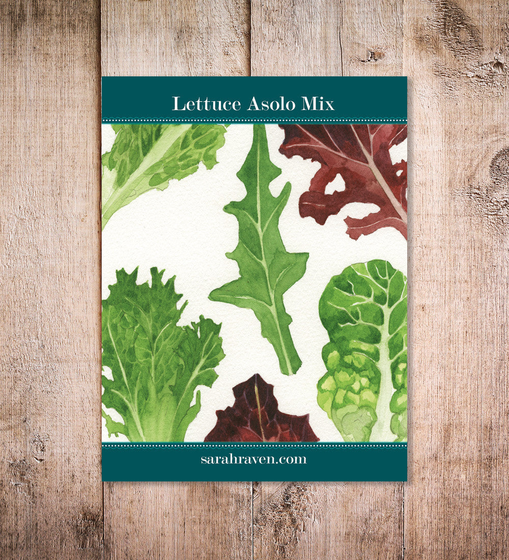 Asolo Lettuce Mix