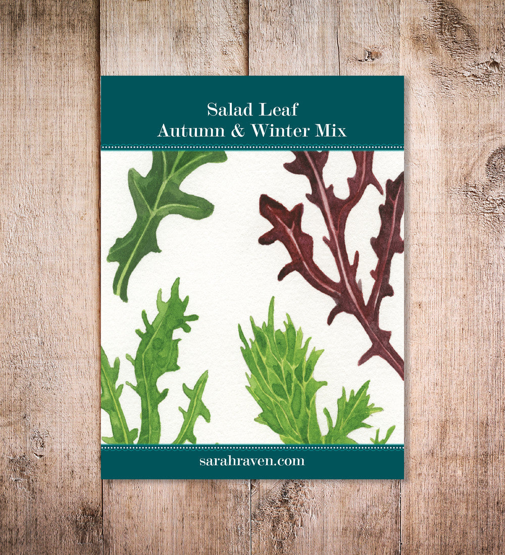 Salad Leaf Autumn & Winter Mix