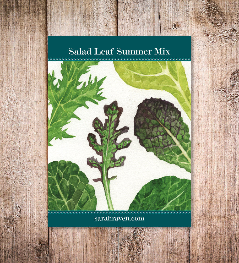 Salad Leaf Summer Mix