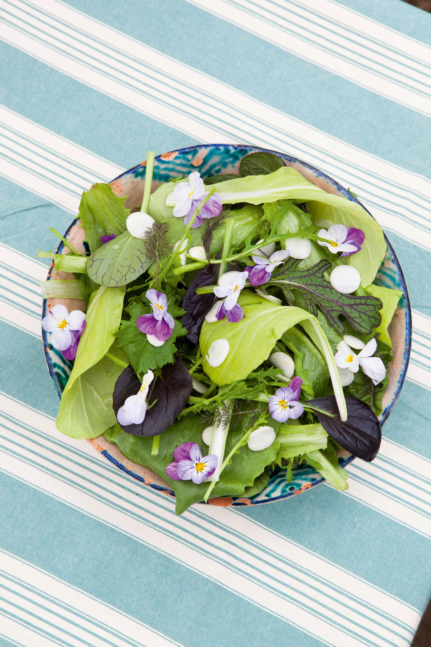 Salad Leaf Summer Mix