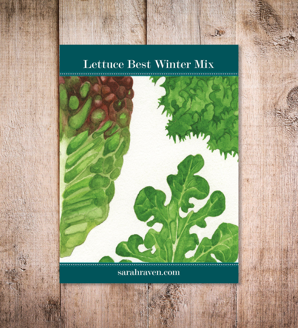 Lettuce Best Winter Mix