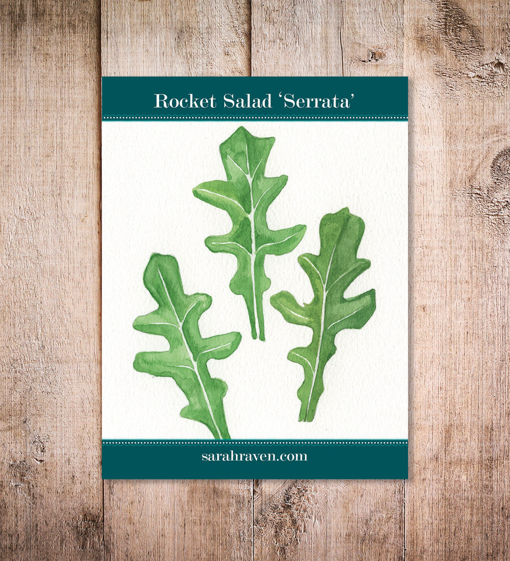 Salad Rocket 'Serrata'