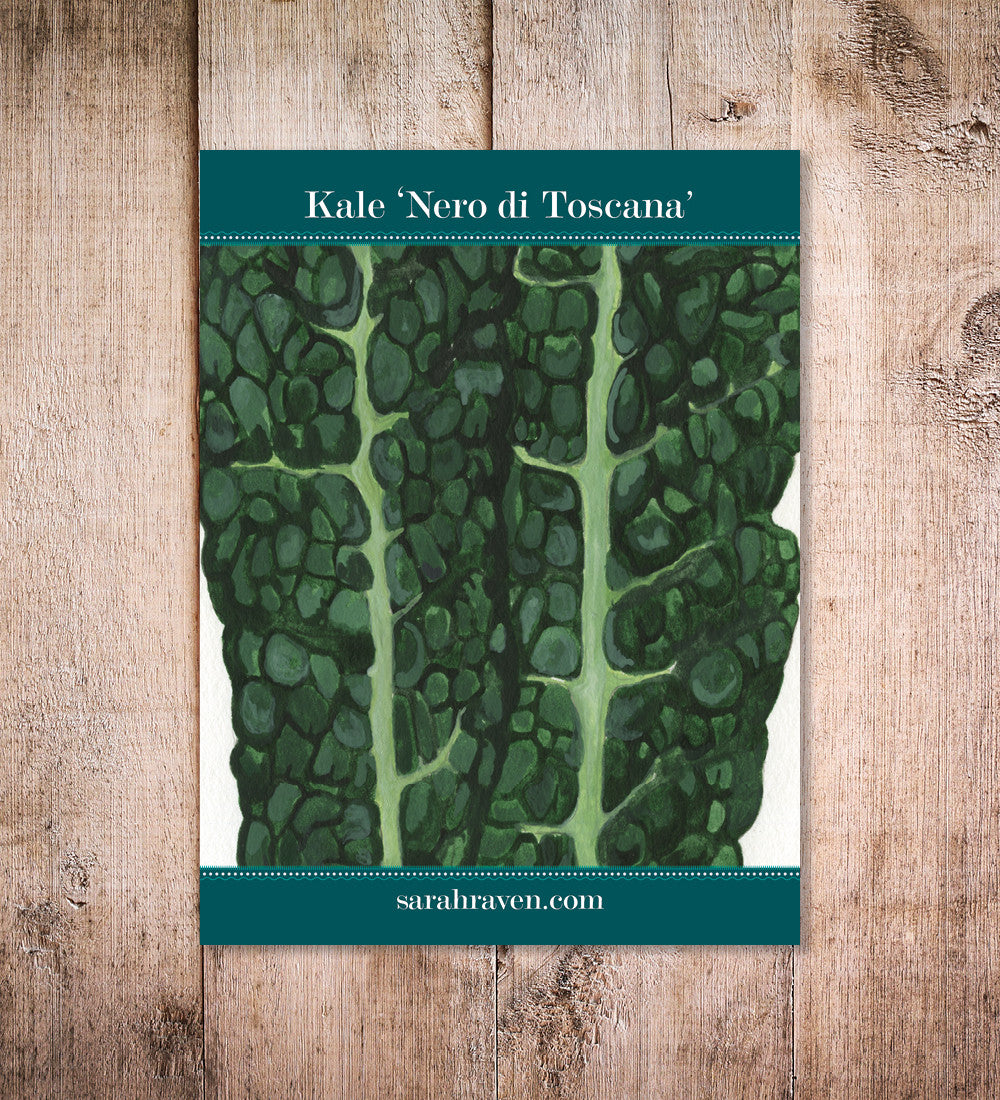 Kale 'Nero di Toscana'