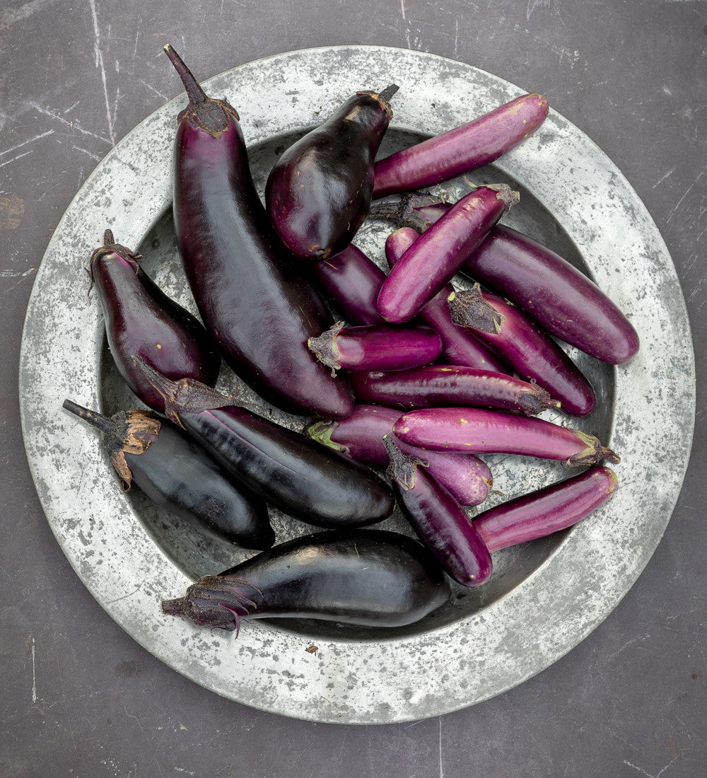Aubergine 'Slim Jim'