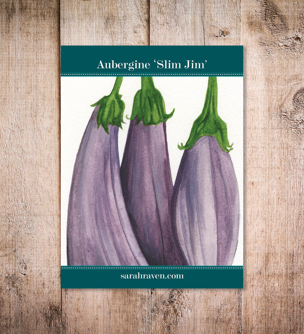 Aubergine 'Slim Jim'