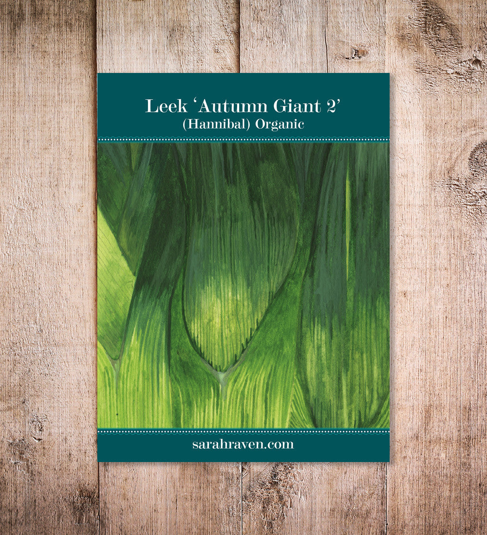 Leek 'Autumn Giant 2' (Hannibal)