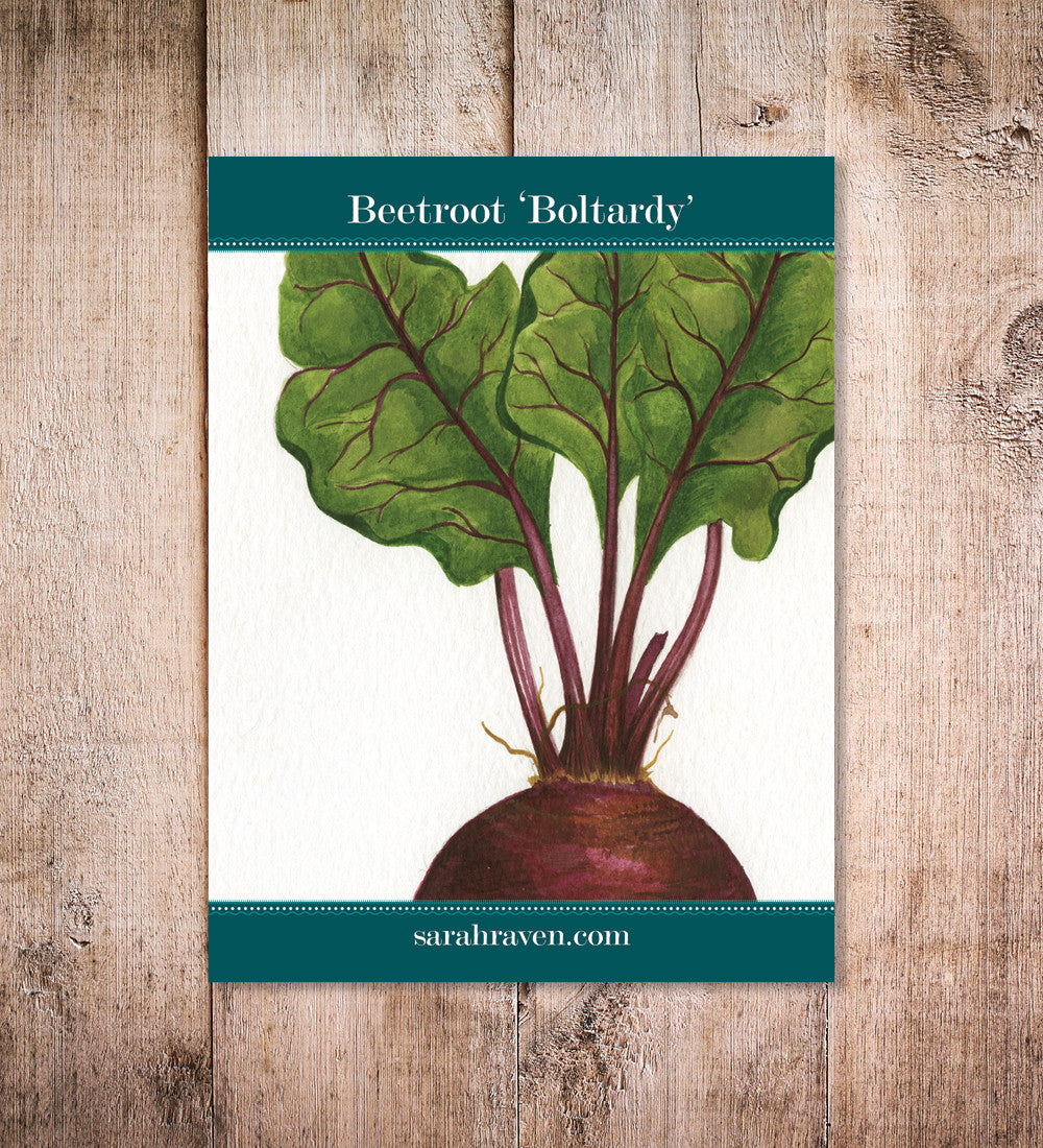 Beetroot 'Boltardy'