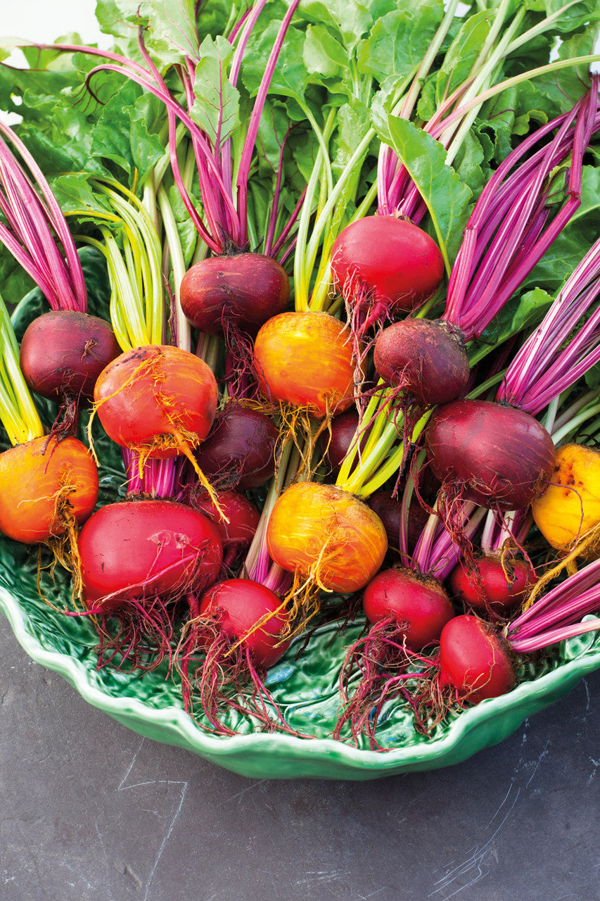 Beetroot Collection