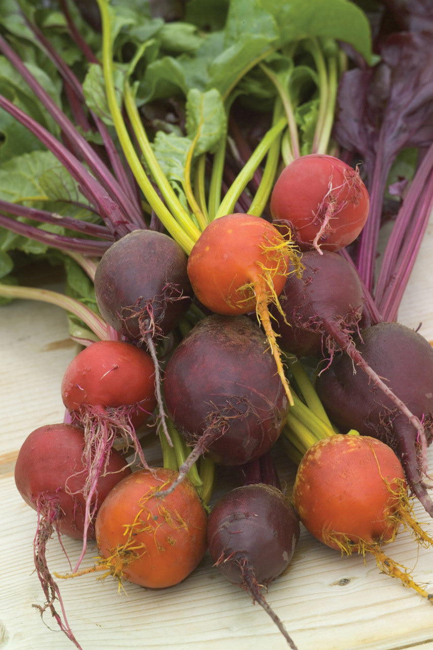 Beetroot Collection
