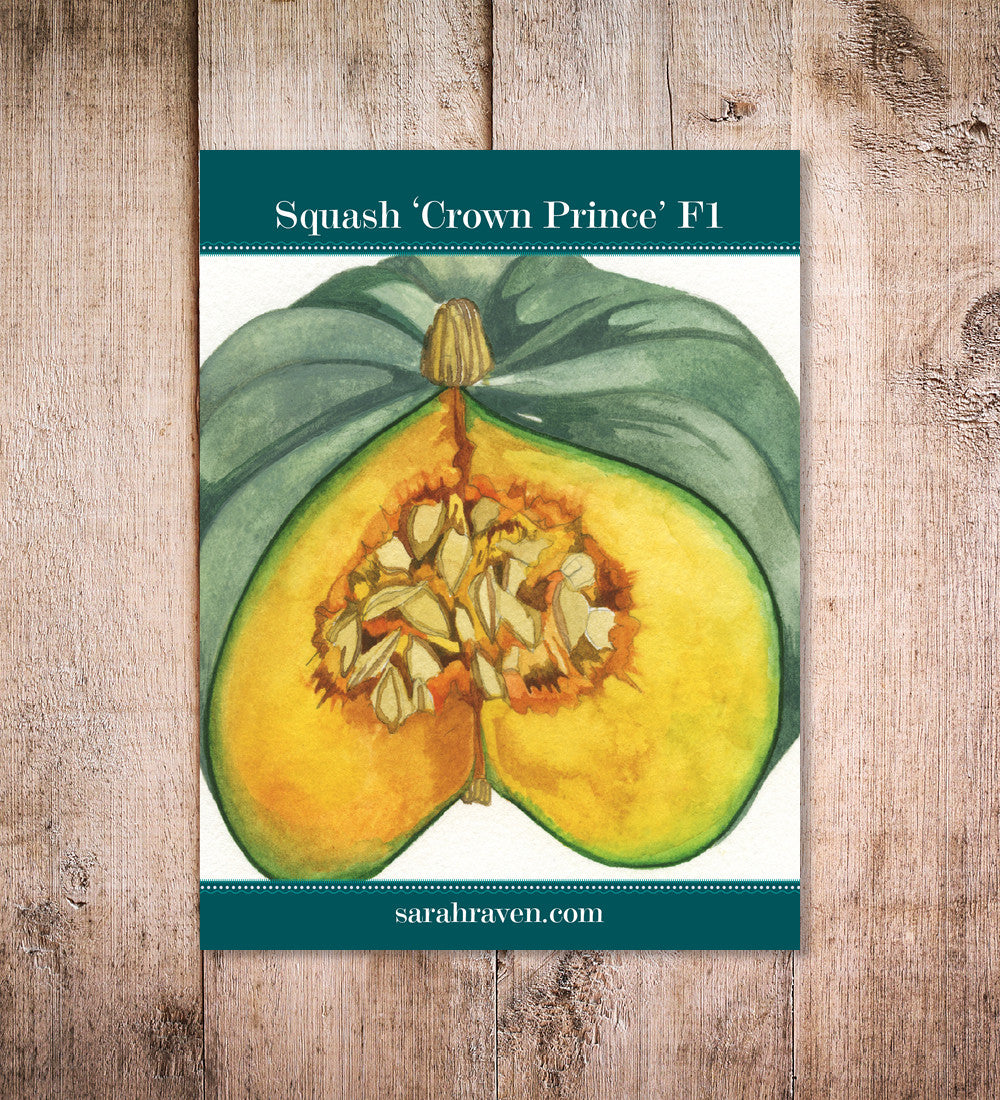 Squash 'Crown Prince' F1