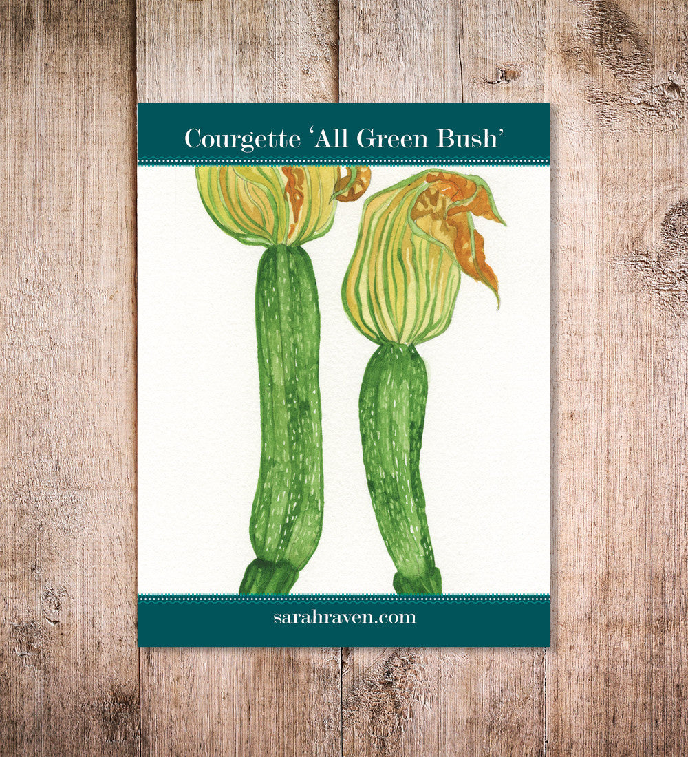 Courgette 'All Green Bush'