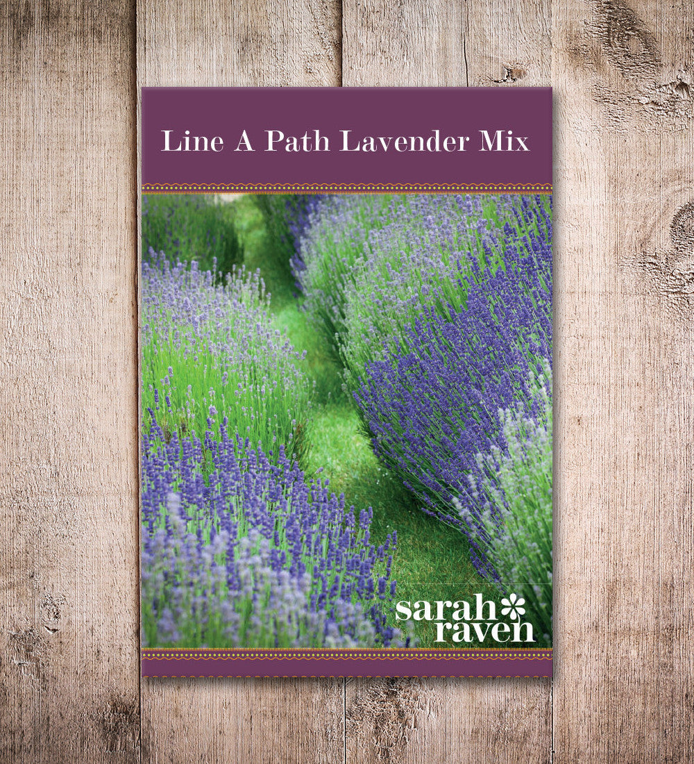 Line a Path Lavender Mix