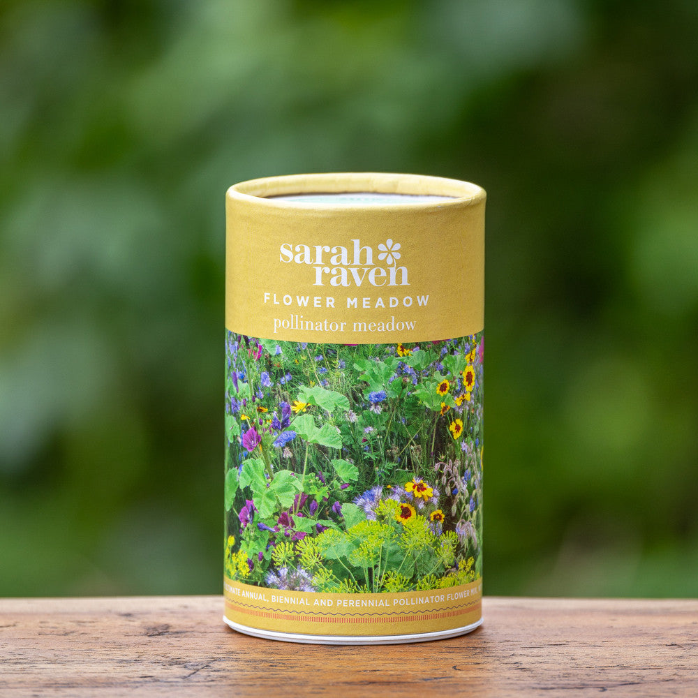 Pollinator Meadow