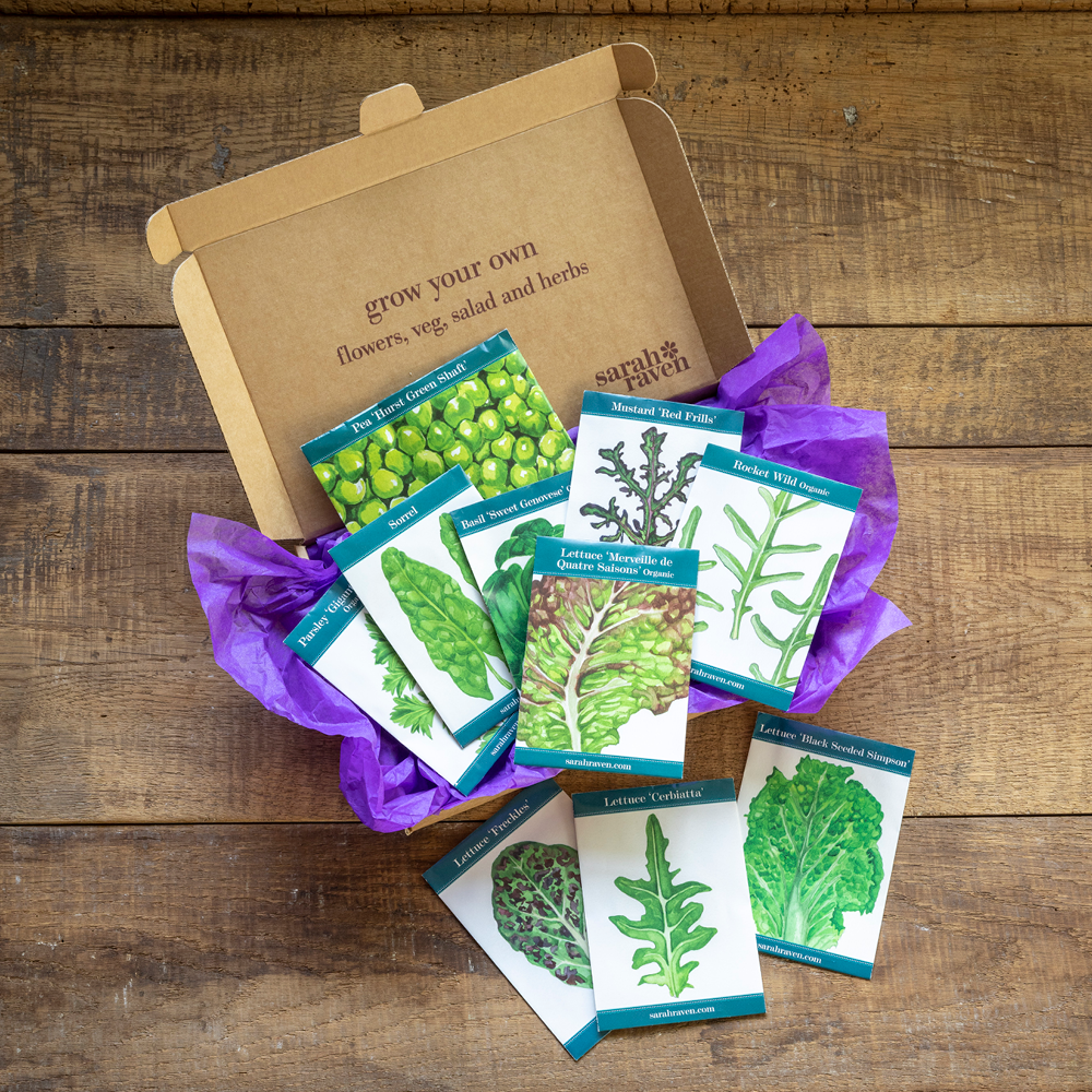Sarah's Favourite Salad and Herb Seed Letterbox Collection