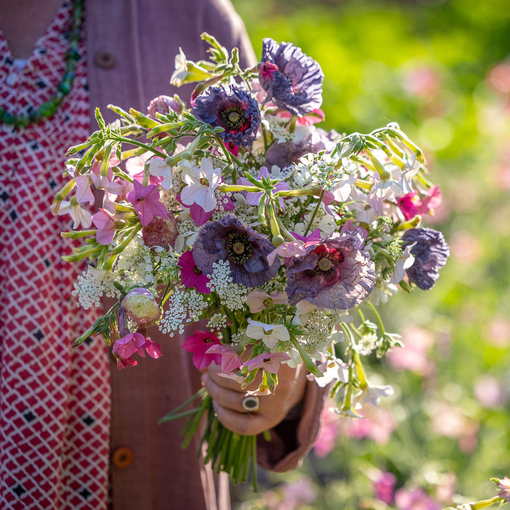 Silver Lace Annual Collection