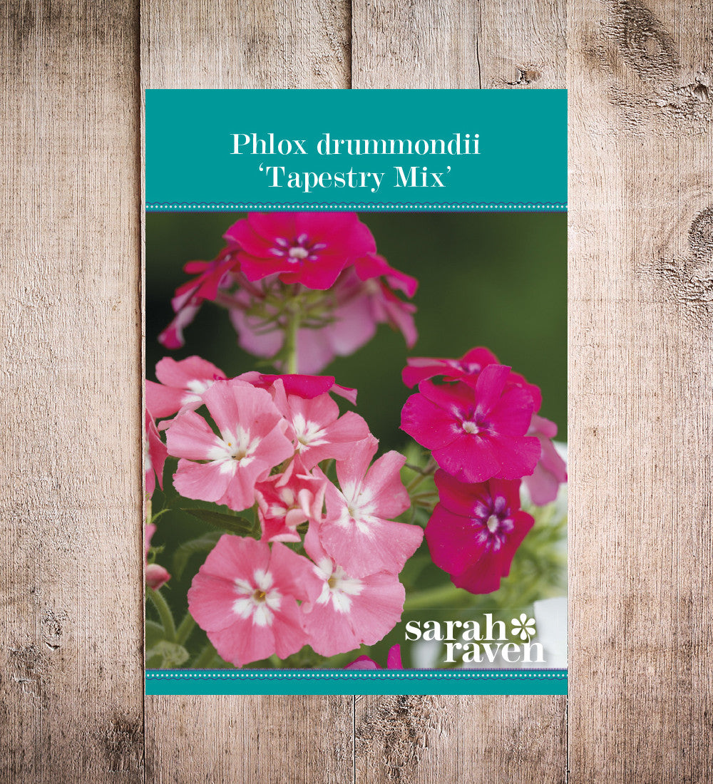 Phlox drummondii 'Tapestry Mix'