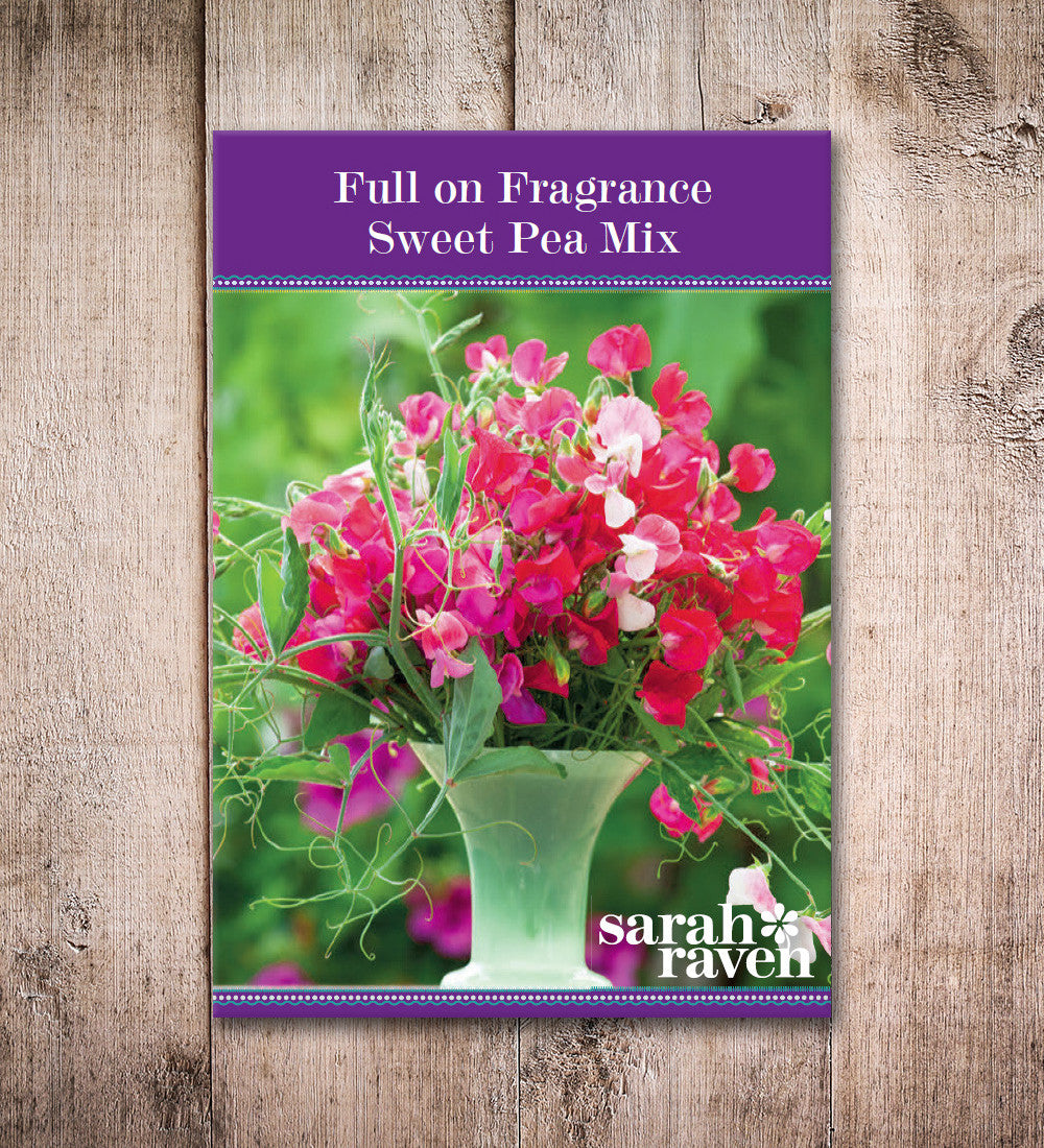 Full on Fragrance Sweet Pea Collection