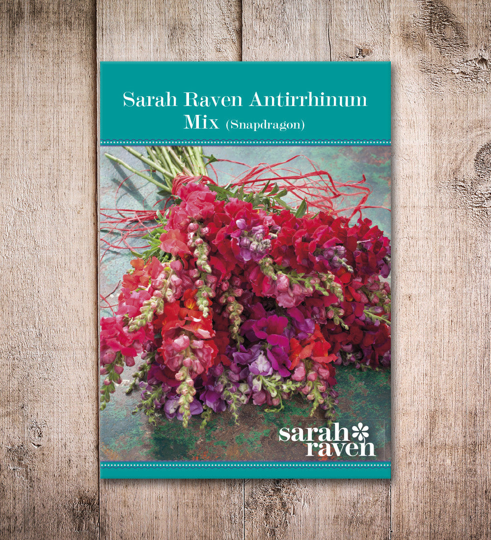 Sarah Raven Antirrhinum Collection