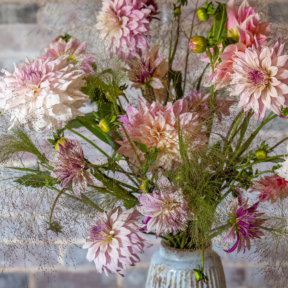 Manhattan Loft Dahlia Collection