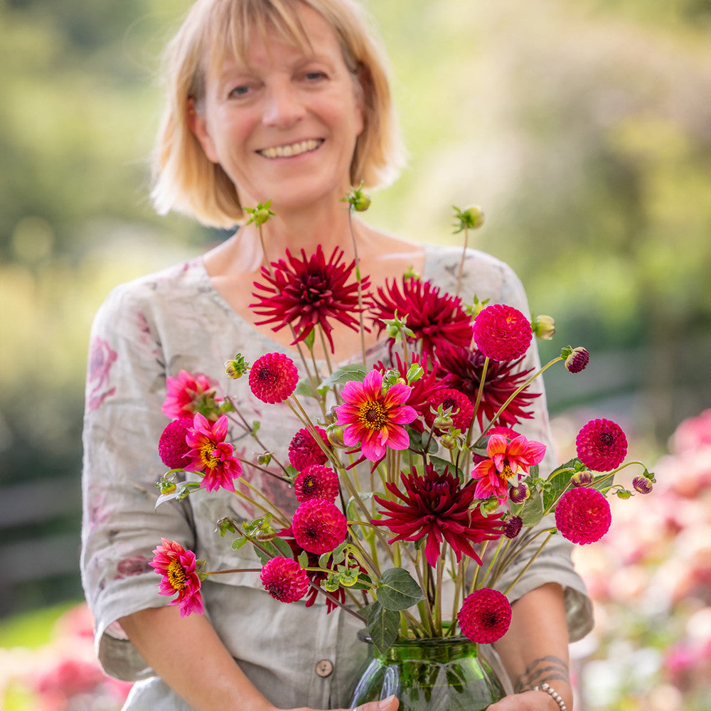 Josie's Dahlia Collection