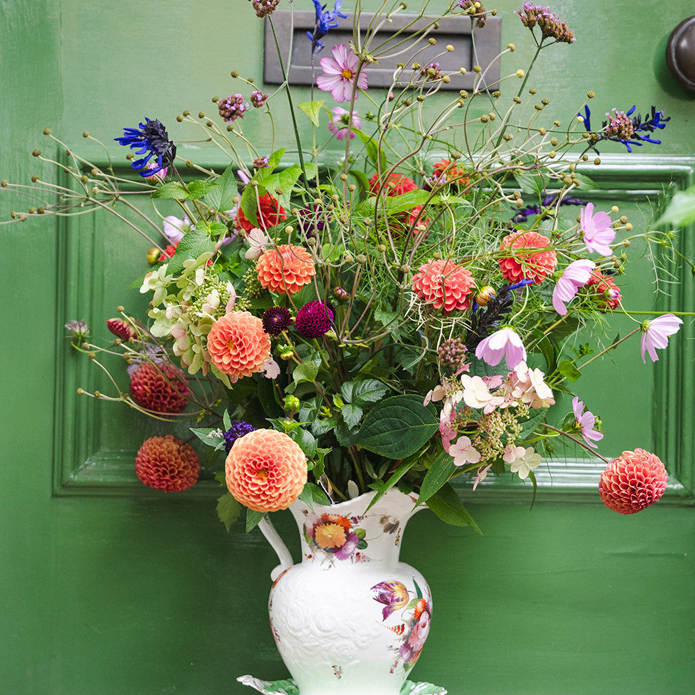 Butter Wakefield Dahlia Collection