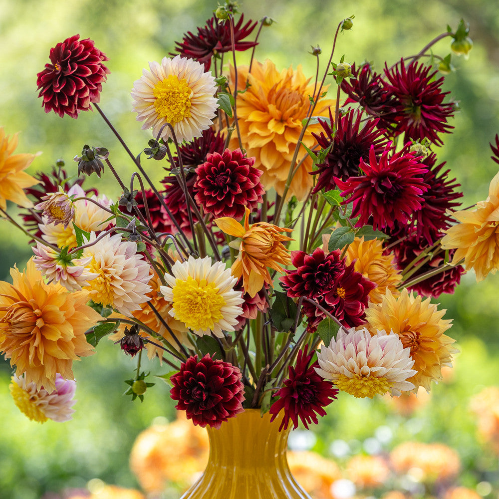 Frida Kahlo Dahlia Collection