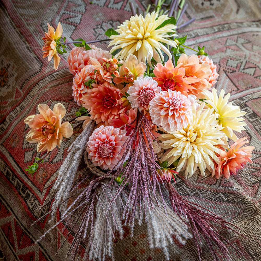 Tapestry Dahlia Collection